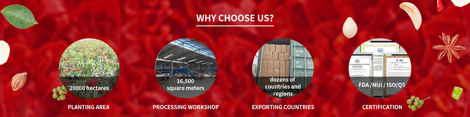 Les piments poivrent la poudre