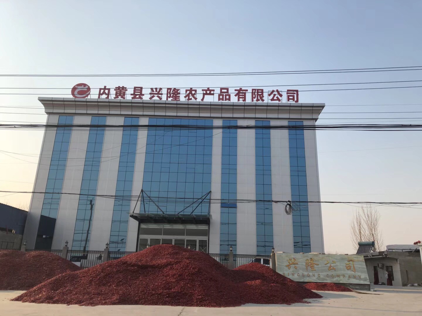 Chine Neihuang Xinglong Agricultural Products Co. Ltd Profil de la société