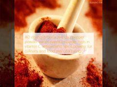 Processus de séchage AD poudre de piment rouge paprika doux riche en vitamine C antioxydants poudre d'épices pour la cuisine et la fabrication alimentaire