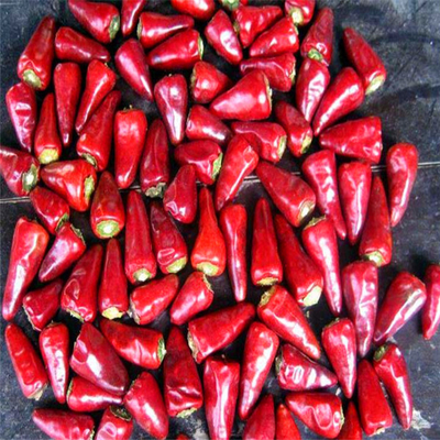 Autour des piments rouges de balle d'humidité de 12% HACCP anhydre avec le Roi Small Size de chapeau