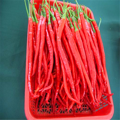 Erjingtiao séché à l' air Chili séché sans tiges et emballé avec des piments