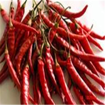 Erjingtiao séché à l' air Chili séché sans tiges et emballé avec des piments