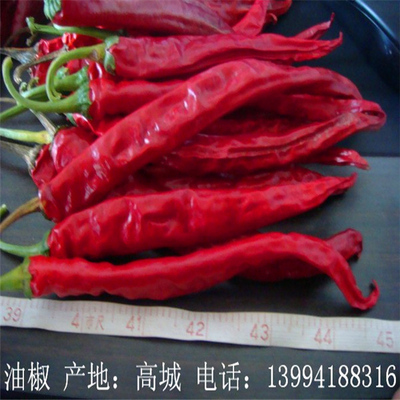 Aucun colorant Erjingtiao n'a séché Chilis 16CM 8000SHU de déshydratation refoulé rouge