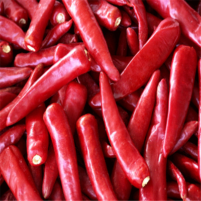 Erjingtiao additif zéro a séché les piments déshydratés piquants de Chilis