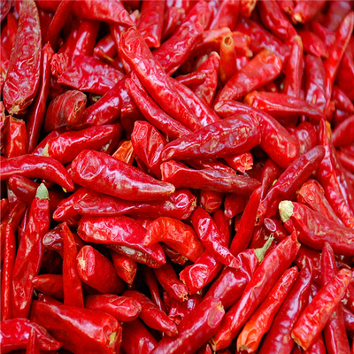 Les ingrédients du poivre Erjingtiao Piments chauds 8000-12000shu pour les besoins du client