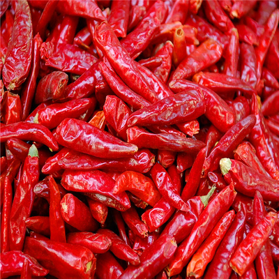 Erjingtiao additif zéro a séché les piments déshydratés piquants de Chilis