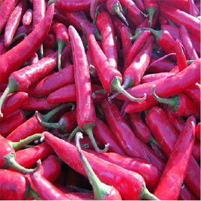 Les ingrédients du poivre Erjingtiao Piments chauds 8000-12000shu pour les besoins du client
