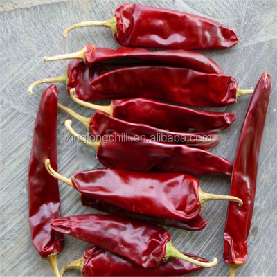 10 - 20 cm de piment rouge Jinta 8000-12000SHU pour les marinades et la cuisson