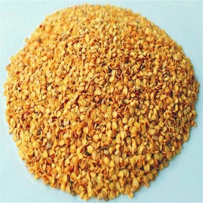 Red Facing Heaven Chili Seeds 5000 SHU Chaud Petite Taille