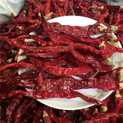 4 - 7cm ont séché les piments rouges poivre 99% pur dans l'endroit frais et sec 50000 SHU