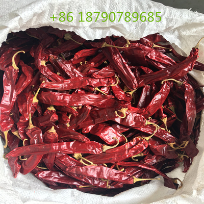 Piments séchés au paprika rouge fumé d'Espagne pour la cuisson et l'aromatisation