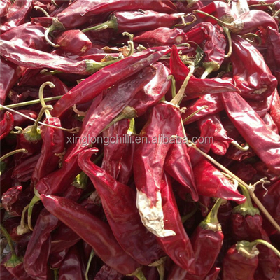 Yidu rouge piments séchés Points forts conservés dans un endroit sec et frais 200g