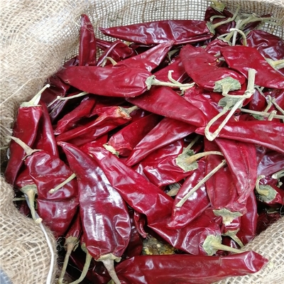 piment de 800shu Yidu avec la nutrition piquante forte de saveur et de fer de piments