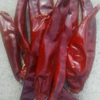 8% d'humidité, coupe à l'anneau, forte, piquante, saveur de piment, très polie, 0,5 à 1,5 cm