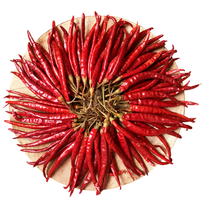 Chilli aux yeux d'oiseau séché riche en calcium pour des créations culinaires audacieuses et épicées