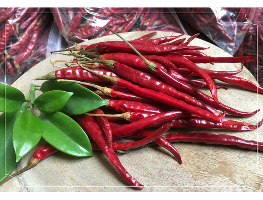 Chilli aux yeux d'oiseau séché riche en calcium pour des créations culinaires audacieuses et épicées