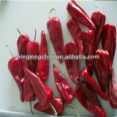 Poudre de piment rouge écrasé épicé sec et frais