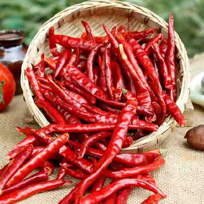 7 à 19 cm de longueur Chili déshydratant avec emballage scellé sous vide