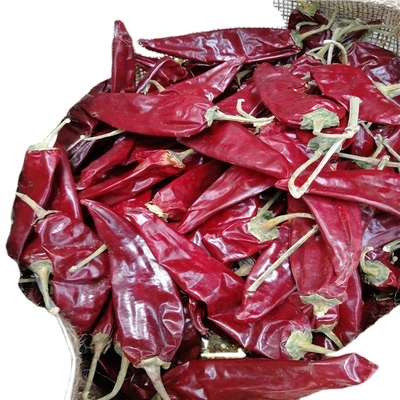 800shu Chilli séché à chaud Yidu Long Chilli rouge Authentique saveur 7-15cm