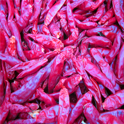 4-7cm Cayenne Piments rouges séchés Conditions de stockage Lieu frais et sec