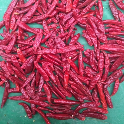 Chaleur élevée Ringe de piments 0,5 à 1,5 cm Longueur 50000SHU Chaleur jusqu'à 35% de graines