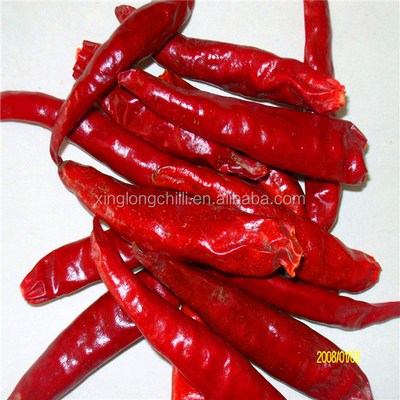 Chilli séché rouge, croustillant et croustillant, Xinglong, sans tige