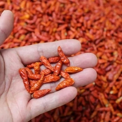 Emballage des sacs pour les piments à l'œil d'oiseau séchés 1 kg Taille HACCP