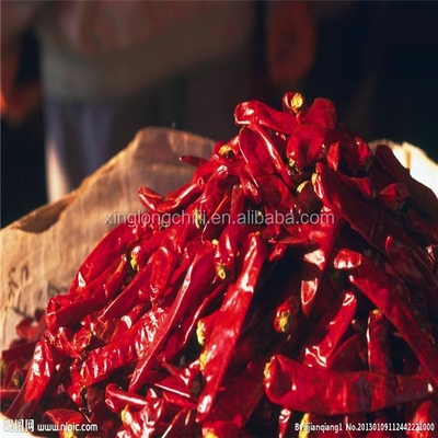 7 à 15 cm de piment rouge Yidu avec des saveurs distinctes et un poids net de 200 g