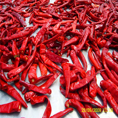 Organic Mild Red Chili Powder with No Known Allergens and 100 Grams Net Weight for Chinese Cuisine