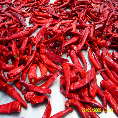 Des piments rouges chinois épicés séchés avec des ingrédients