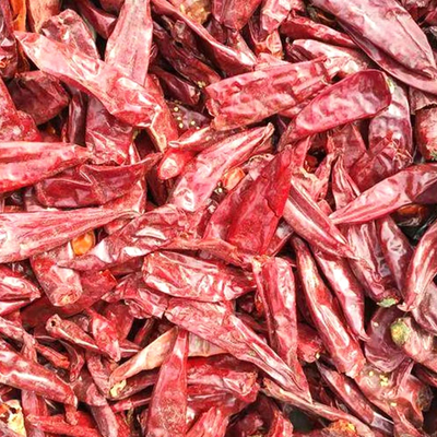 Chilli rouge naturel Paprika sucré Piment herbes uniques Épices pour les délices culinaires