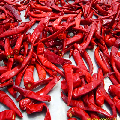 10 kg de poids unitaire de piment avec une teneur en humidité maximale de 12%