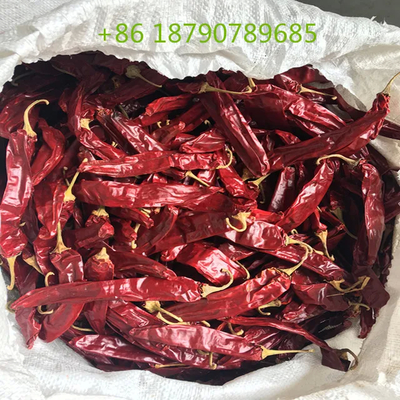Piment sucré séché de 7 à 19 cm de couleur rouge naturelle