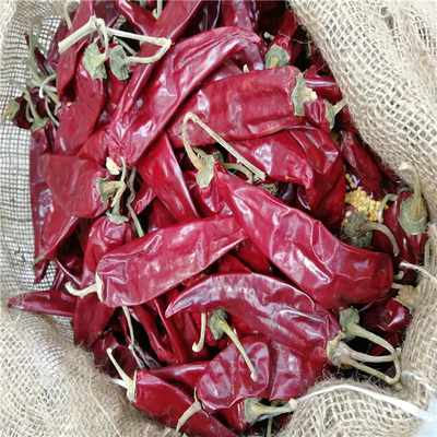 Humidité 8%-12% Chili séché de guajillo de qualité A avec une impureté maximale de 0,1%