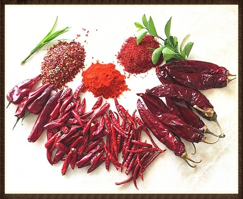 Humidité 8% à 12% Chili séché Guajillo rouge entier / bâton