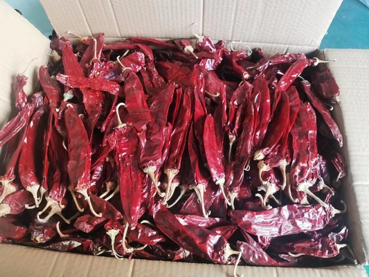 Ajoutez un peu de chaleur à vos plats avec des gousses de piment séché 500SHU 20-25cm
