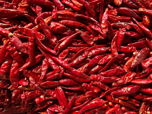 Les chefs apprécient le piment épicé et séché aux yeux d'oiseau