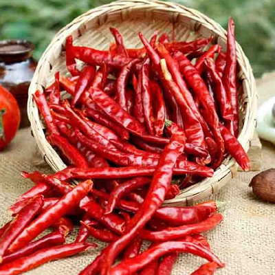 Des épices de piment rouge et de la poudre d' assaisonnement pour votre bonne expérience culinaire