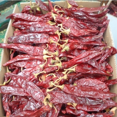 Riche en vitamines A et C Piment séché Piment sucré Piment aromatisé Poudre d' assaisonnement