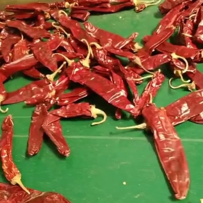 Une seule herbe et une seule épice sur les poivrons séchés pour vos besoins commerciaux