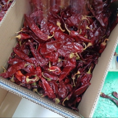 Ingrédients Paprika Piment Chili Capsicum Xinjiang Chili Degré de piqûre 500SHU