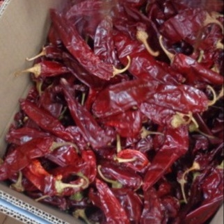 Des gousses de paprika rouge séchées pour votre entreprise d'ingrédients
