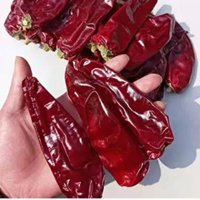 Poivre de Cayenne Poivre d'épices forte saveur piquante Air sec Soleil séché avec peu d'impuretés