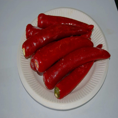 Poudre de piments indiens de qualité supérieure - texturé finement ASTA 120