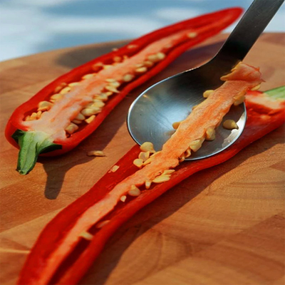 Poudre de piment épicé pour les besoins culinaires