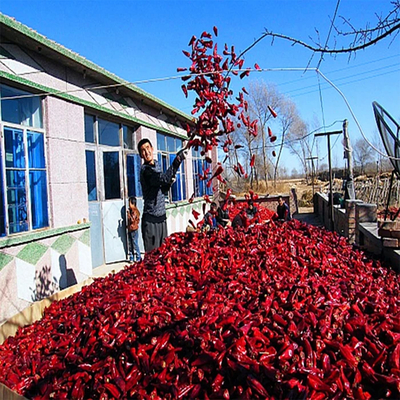 Chili rouge Yidu enrichi en vitamine A/C et minéraux