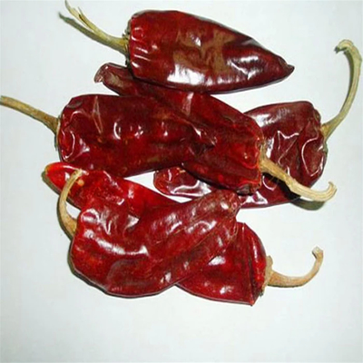 Piment rouge épicé séché assaisonnement et base de piment
