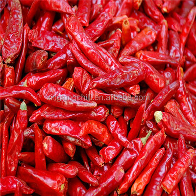 Le piment rouge de Cayenne 4-7 cm La solution parfaite pour les besoins