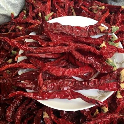 Faites l'expérience de la chaleur des piments rouges séchés pour le pot chaud et la cuisine du Sichuan Humidité 12% max