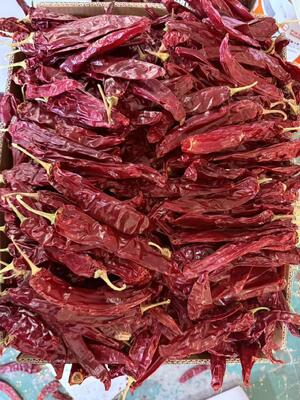 Piments rouges séchés au piment rouge naturel sans additif 10 kg/CTN pour la cuisson des aliments